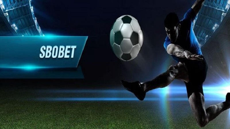 SBOBet là địa chỉ cược thể thao uy tín